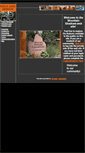 Mobile Screenshot of mountainshadowshoa.net